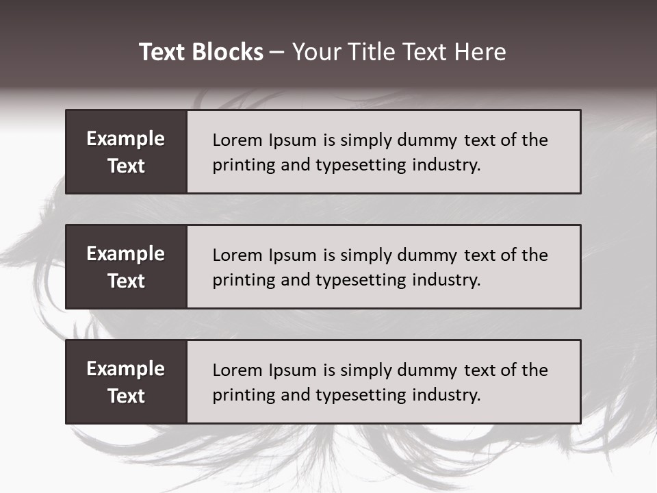 A Close Up Of A Black Hair On A White Background PowerPoint Template