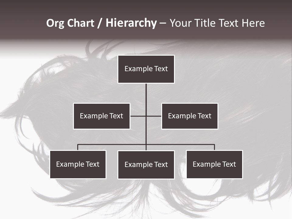 A Close Up Of A Black Hair On A White Background PowerPoint Template