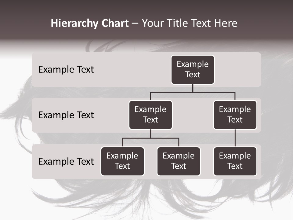 A Close Up Of A Black Hair On A White Background PowerPoint Template