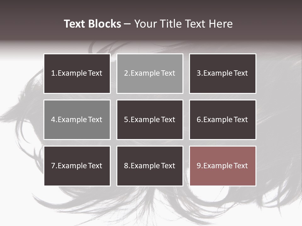 A Close Up Of A Black Hair On A White Background PowerPoint Template