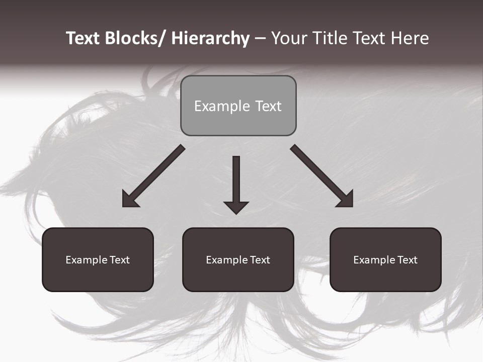 A Close Up Of A Black Hair On A White Background PowerPoint Template