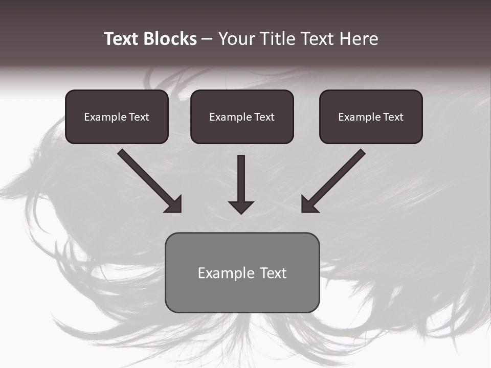 A Close Up Of A Black Hair On A White Background PowerPoint Template