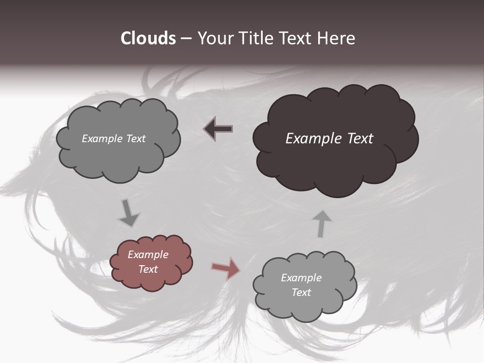 A Close Up Of A Black Hair On A White Background PowerPoint Template