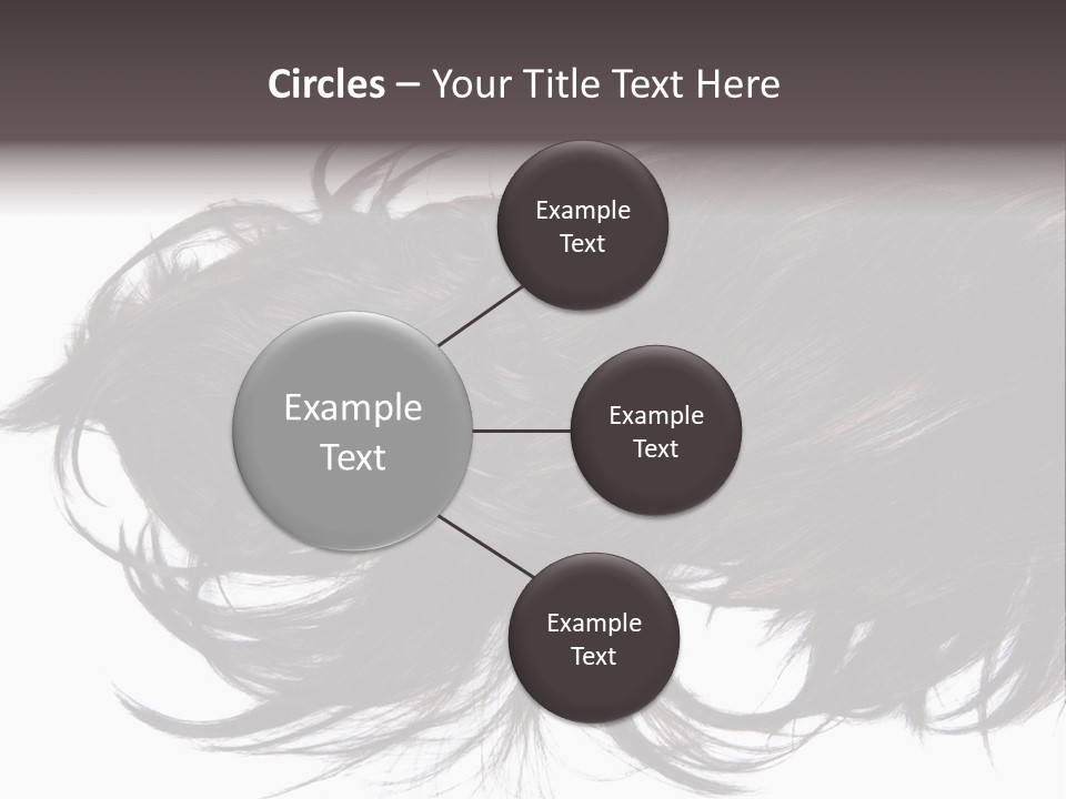 A Close Up Of A Black Hair On A White Background PowerPoint Template