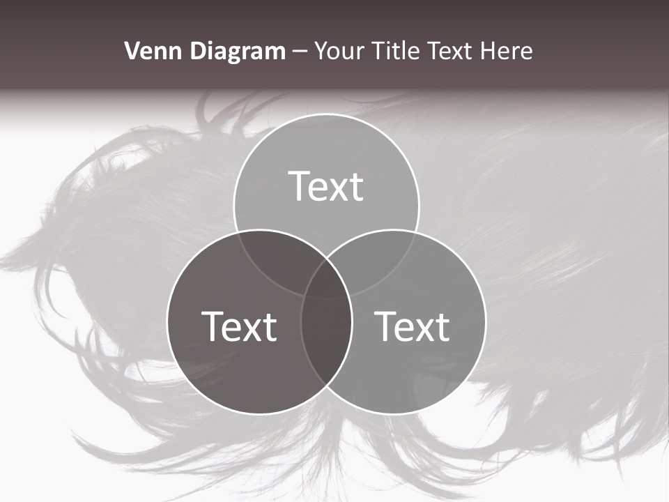 A Close Up Of A Black Hair On A White Background PowerPoint Template