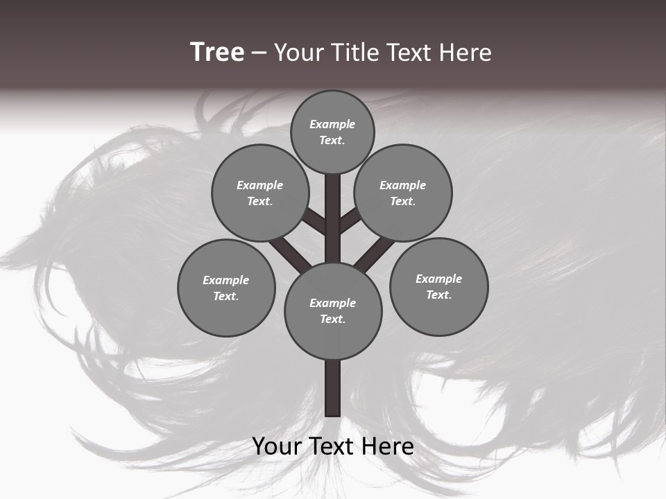 A Close Up Of A Black Hair On A White Background PowerPoint Template