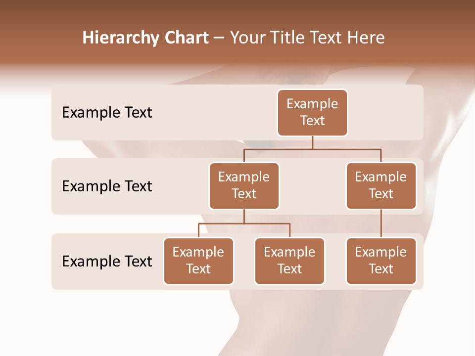 Health Healthy Body PowerPoint Template