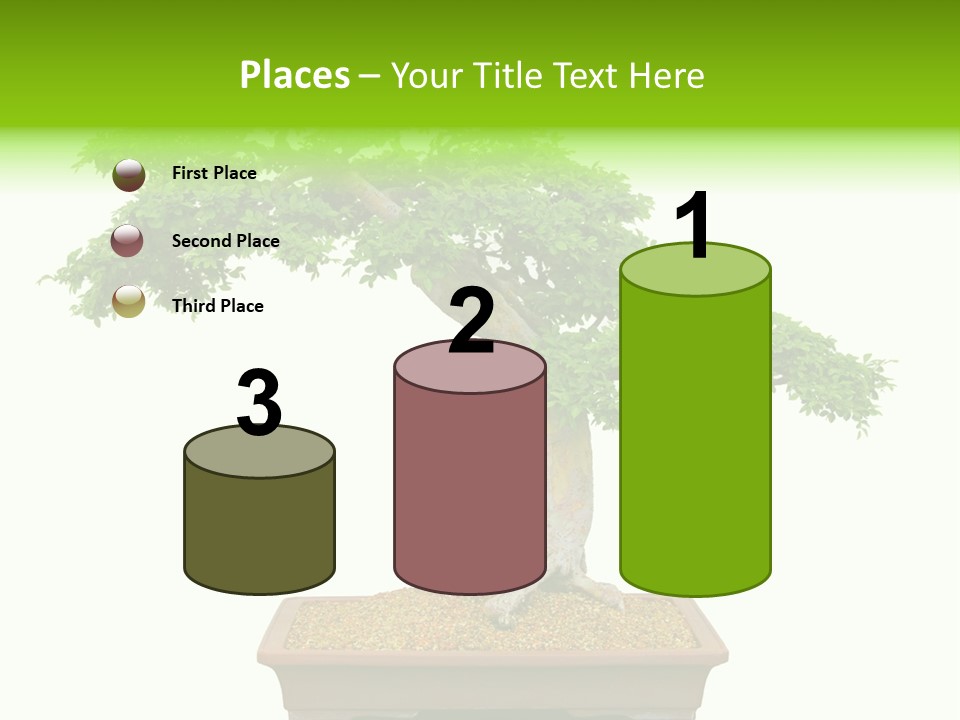 Flower Japan Plant PowerPoint Template