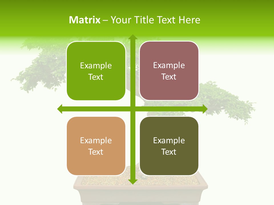 Flower Japan Plant PowerPoint Template