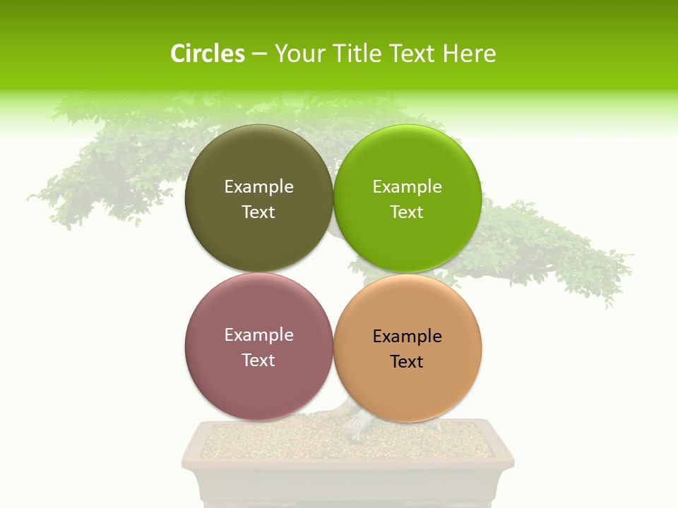 Flower Japan Plant PowerPoint Template