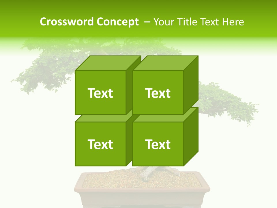 Flower Japan Plant PowerPoint Template