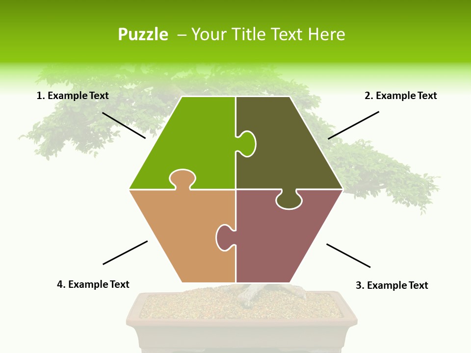 Flower Japan Plant PowerPoint Template