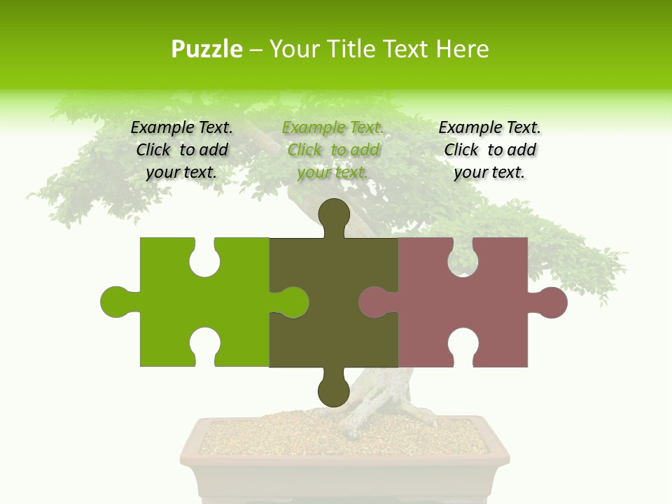 Flower Japan Plant PowerPoint Template