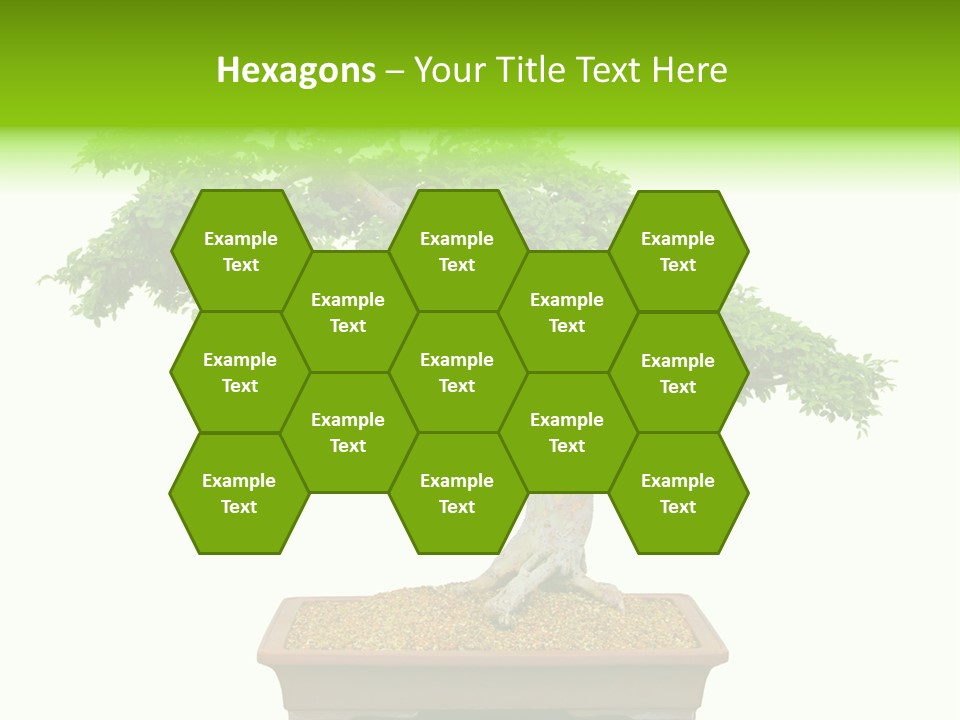 Flower Japan Plant PowerPoint Template