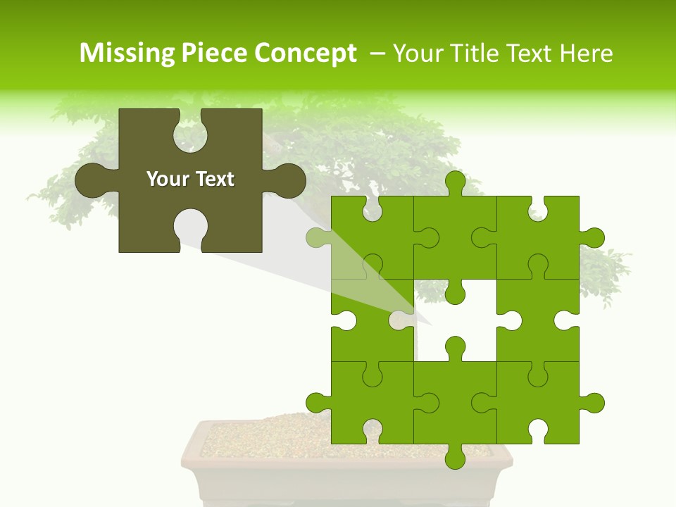 Flower Japan Plant PowerPoint Template