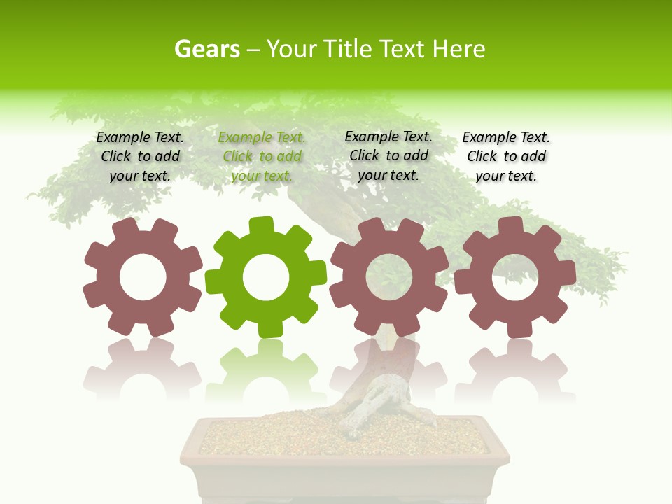 Flower Japan Plant PowerPoint Template