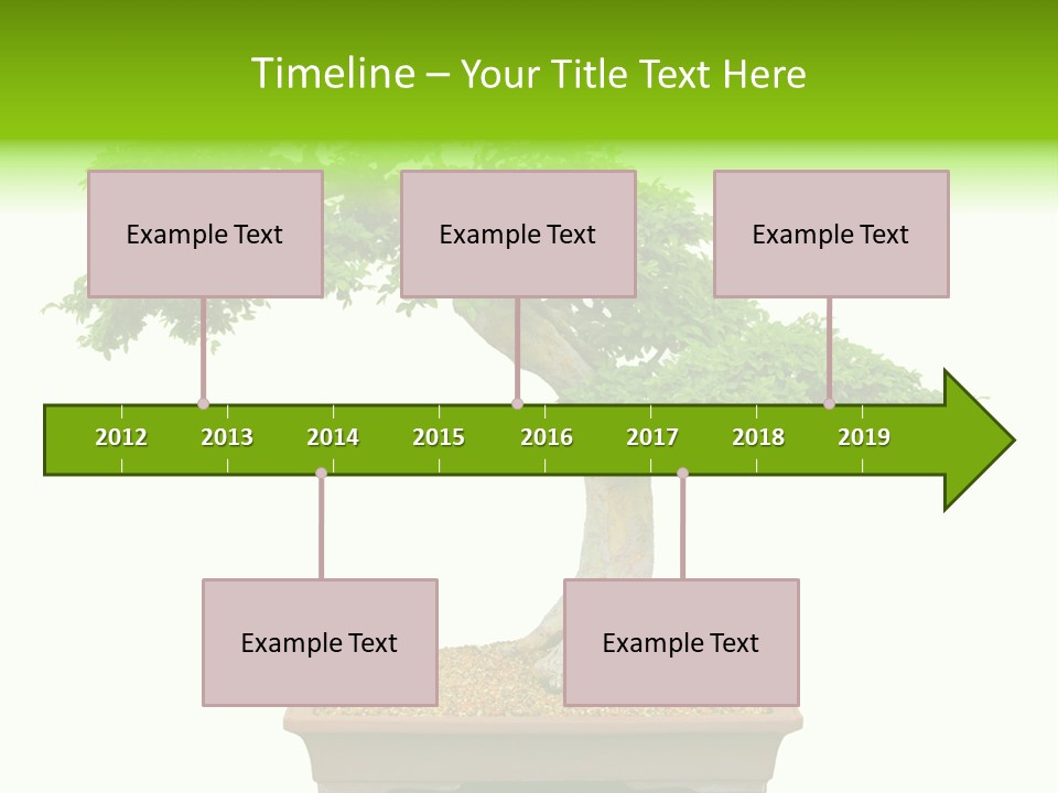 Flower Japan Plant PowerPoint Template