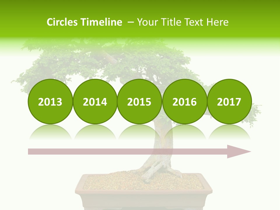 Flower Japan Plant PowerPoint Template