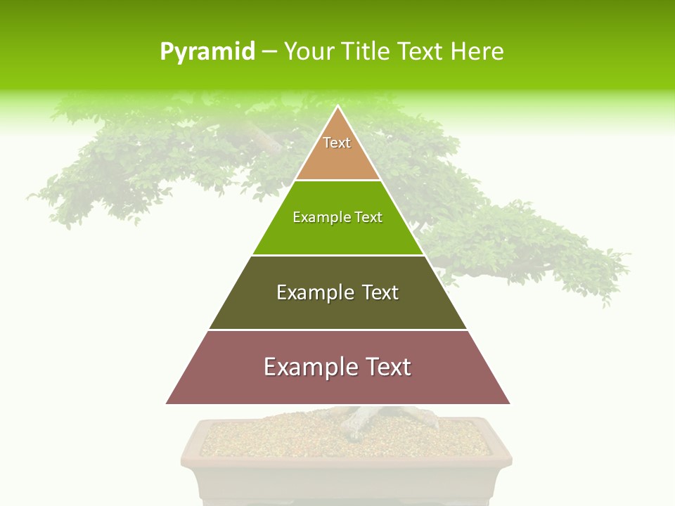 Flower Japan Plant PowerPoint Template