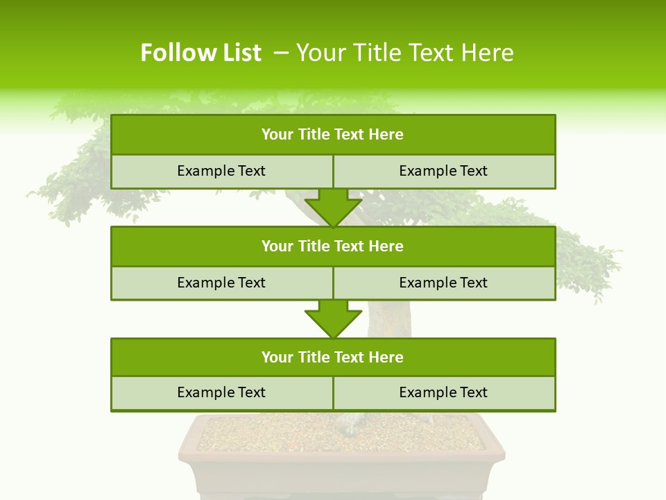 Flower Japan Plant PowerPoint Template