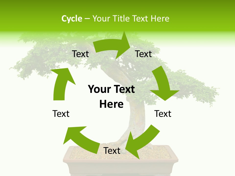 Flower Japan Plant PowerPoint Template