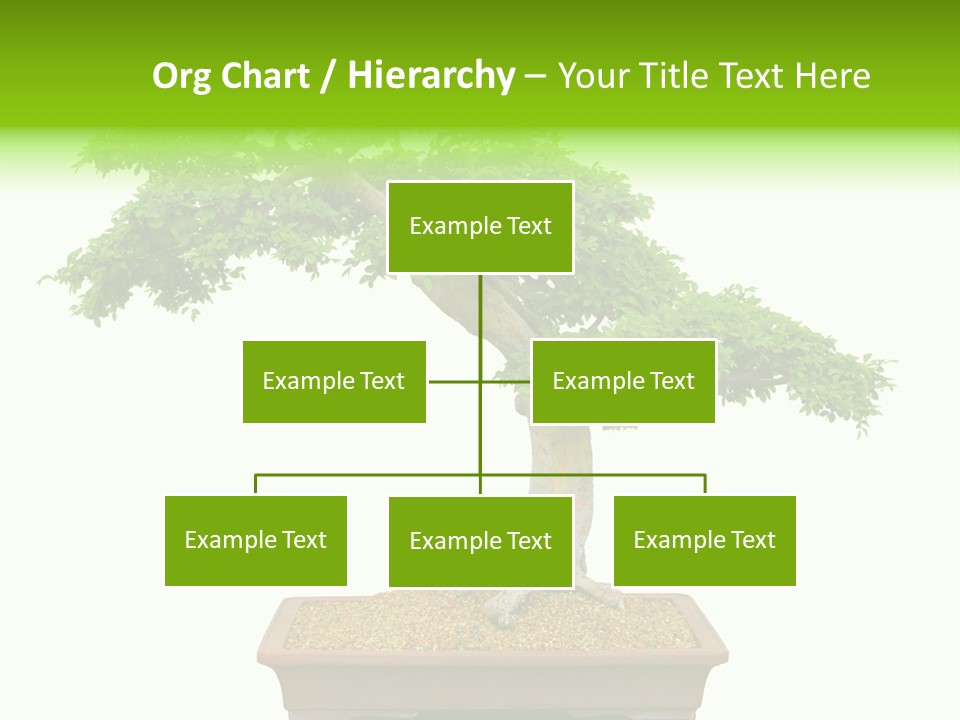 Flower Japan Plant PowerPoint Template