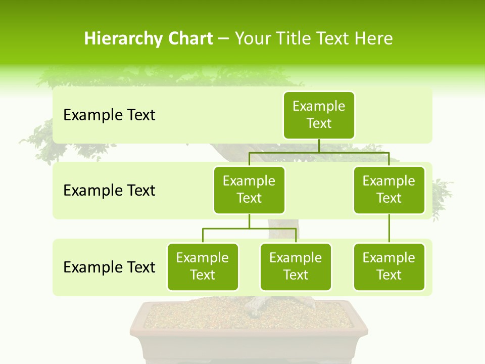 Flower Japan Plant PowerPoint Template