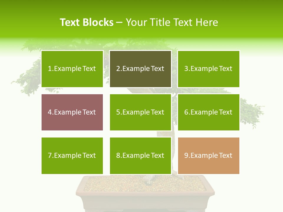 Flower Japan Plant PowerPoint Template