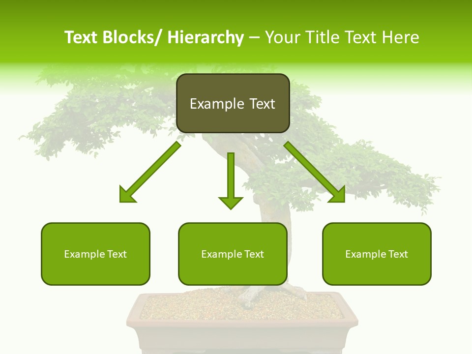 Flower Japan Plant PowerPoint Template