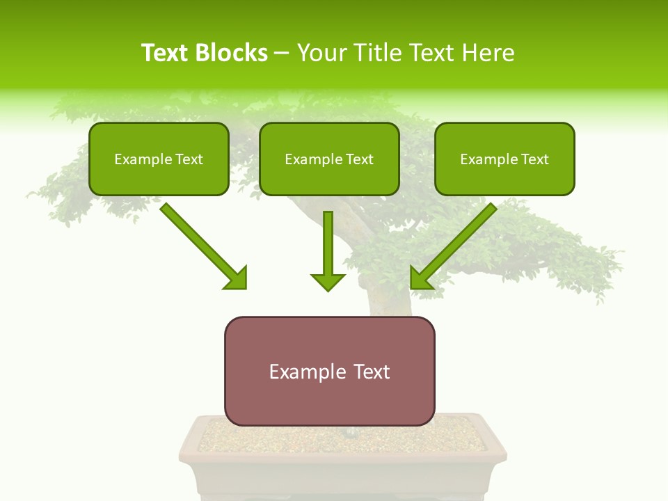 Flower Japan Plant PowerPoint Template