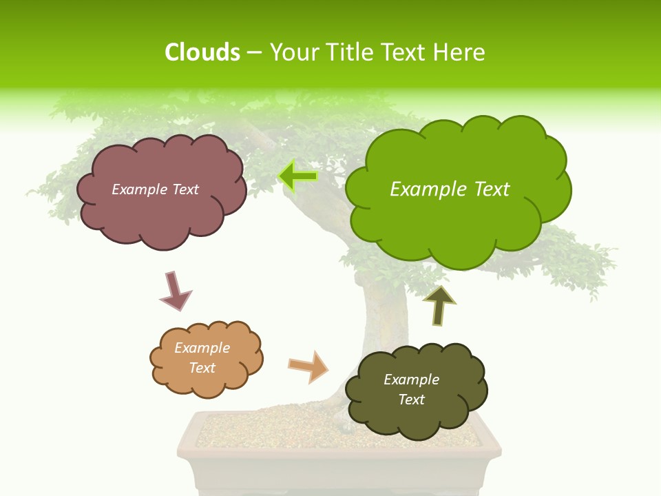 Flower Japan Plant PowerPoint Template
