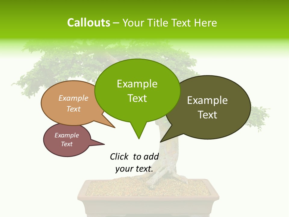 Flower Japan Plant PowerPoint Template