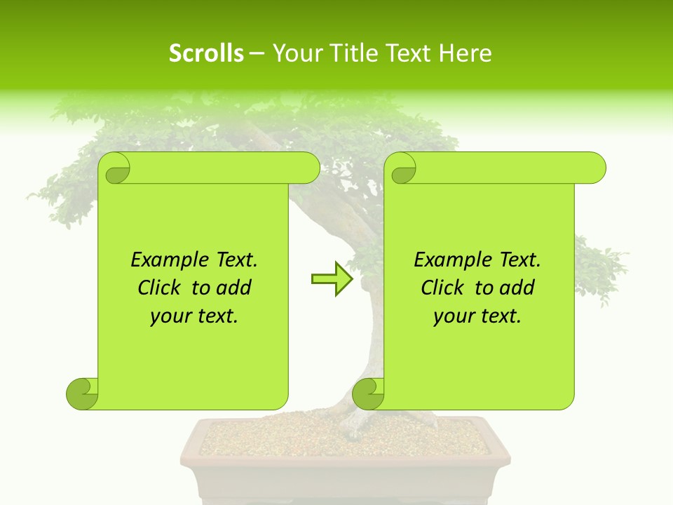Flower Japan Plant PowerPoint Template