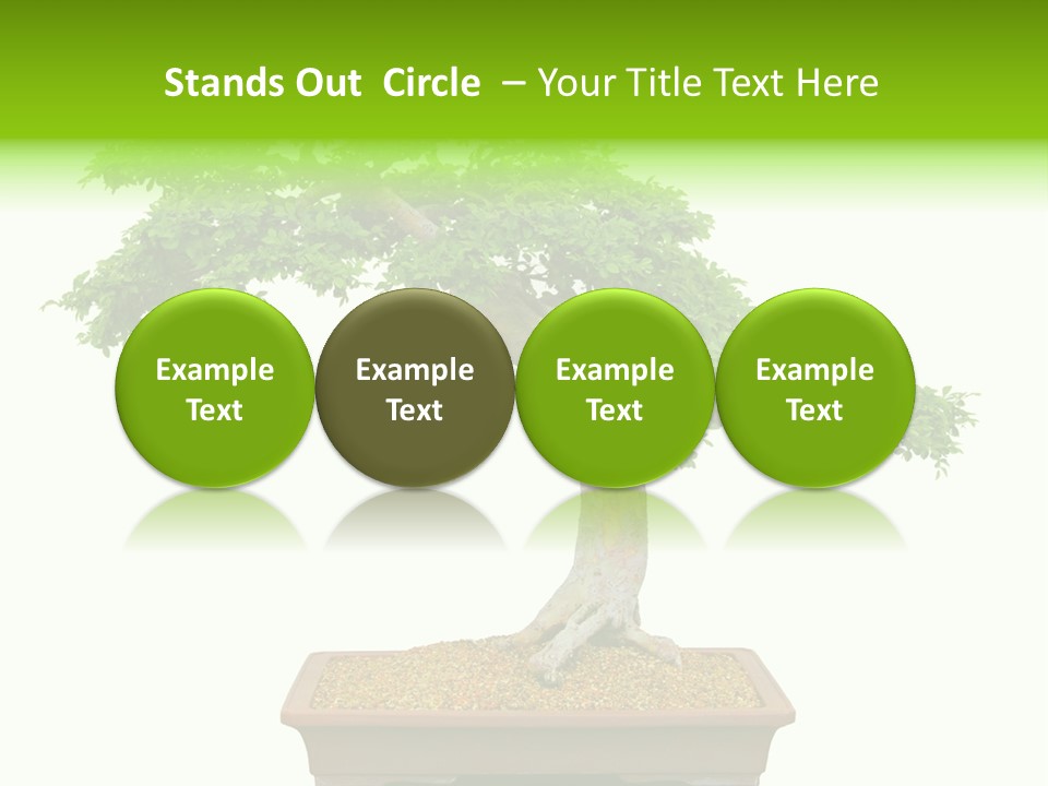 Flower Japan Plant PowerPoint Template