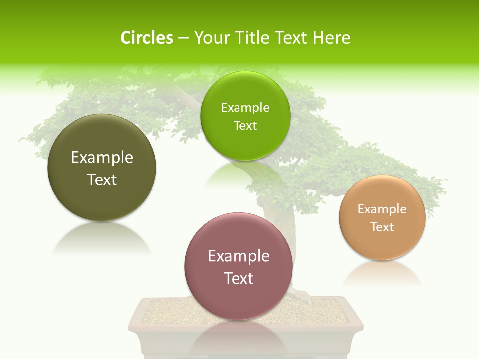 Flower Japan Plant PowerPoint Template