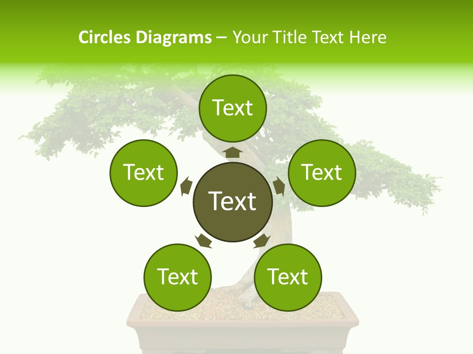 Flower Japan Plant PowerPoint Template