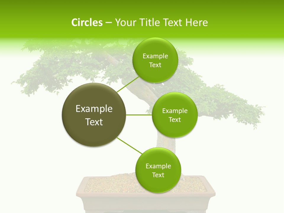 Flower Japan Plant PowerPoint Template