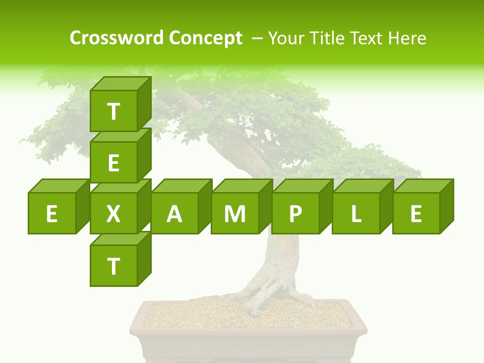 Flower Japan Plant PowerPoint Template