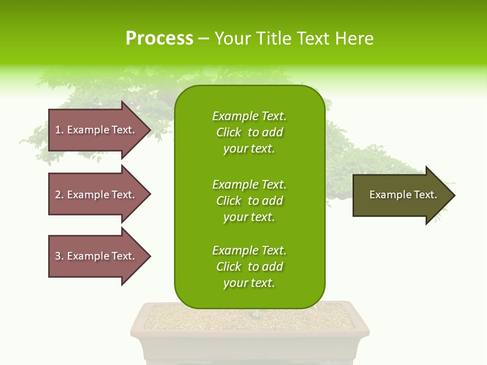 Flower Japan Plant PowerPoint Template