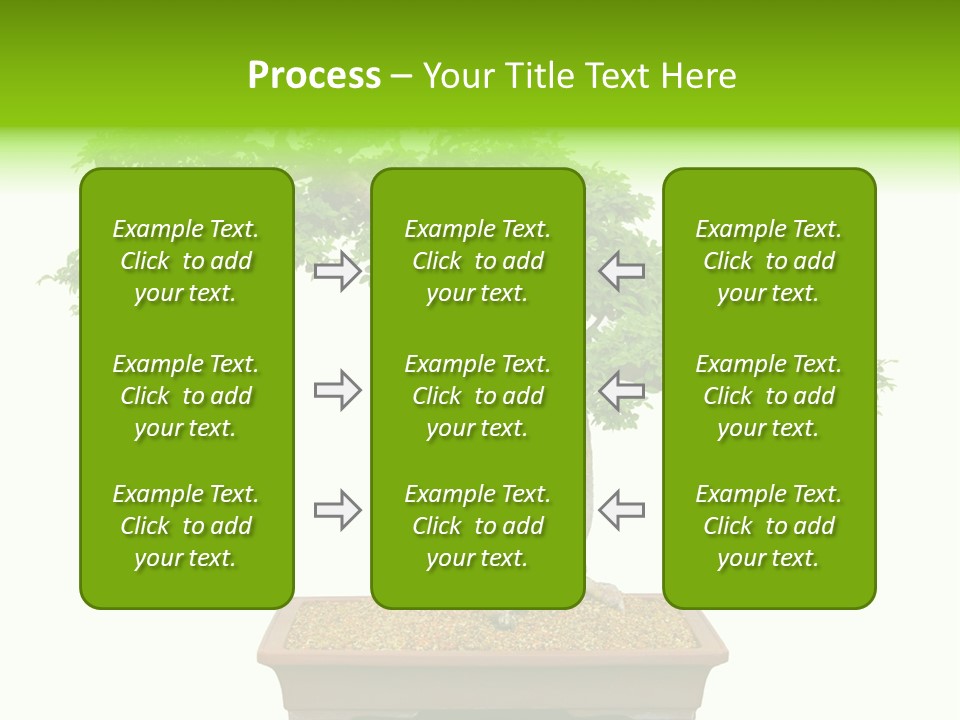 Flower Japan Plant PowerPoint Template