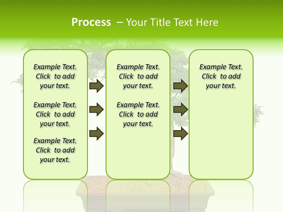Flower Japan Plant PowerPoint Template