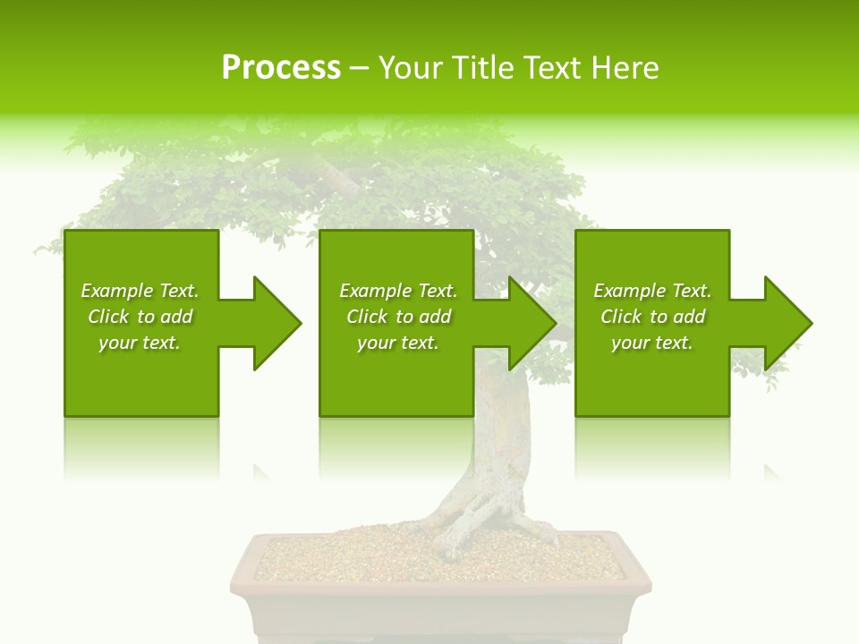 Flower Japan Plant PowerPoint Template