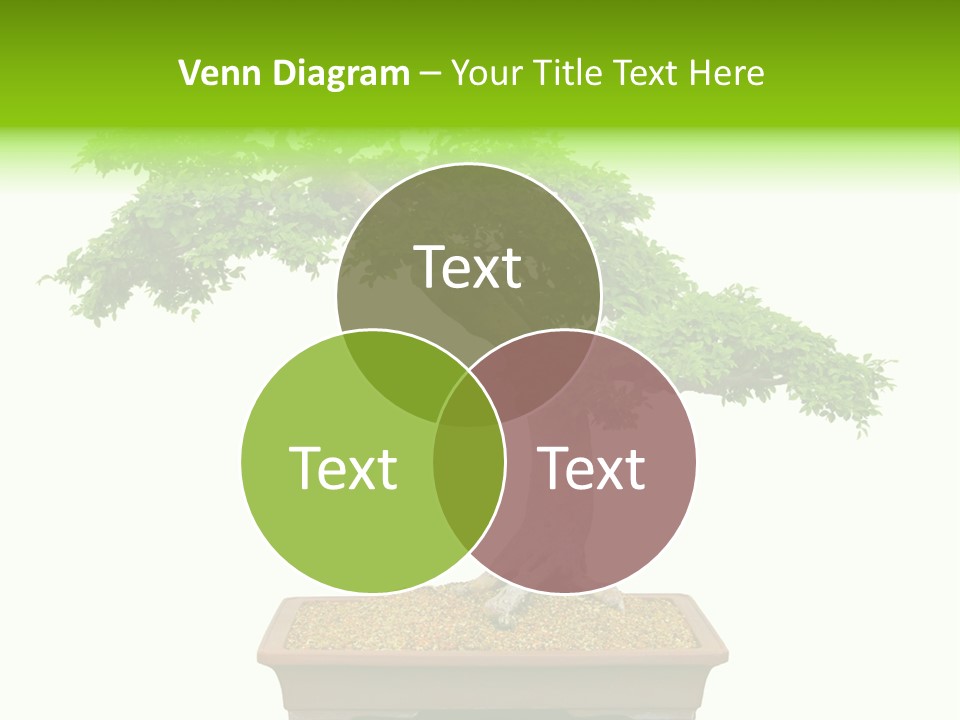 Flower Japan Plant PowerPoint Template