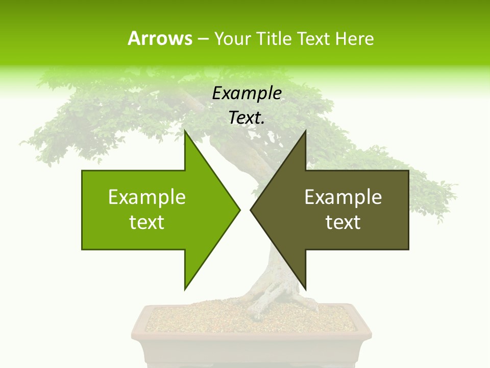 Flower Japan Plant PowerPoint Template