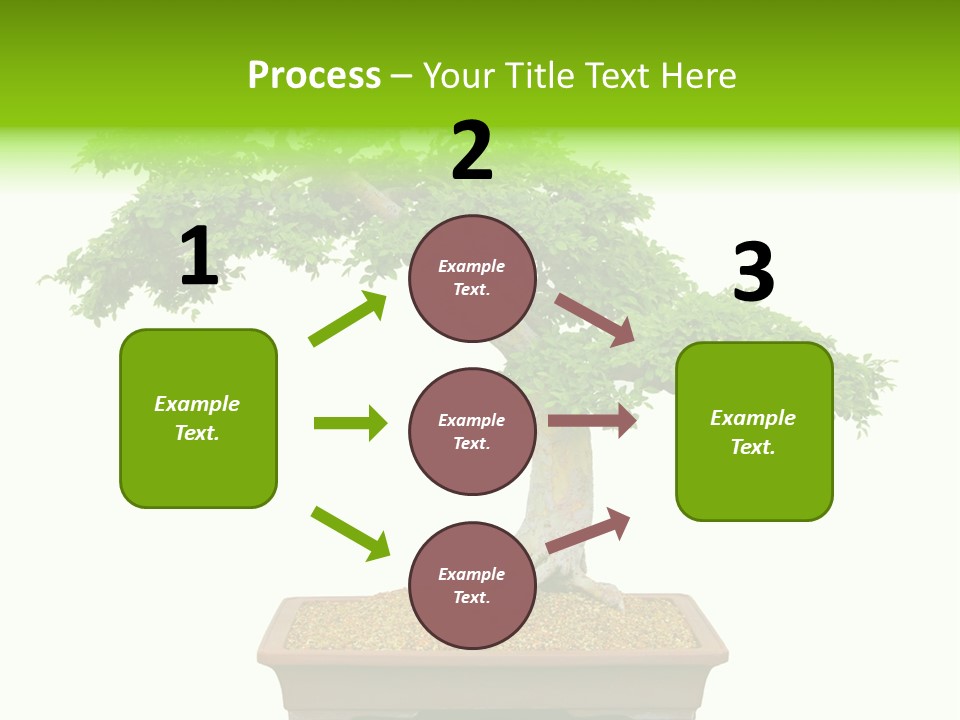 Flower Japan Plant PowerPoint Template