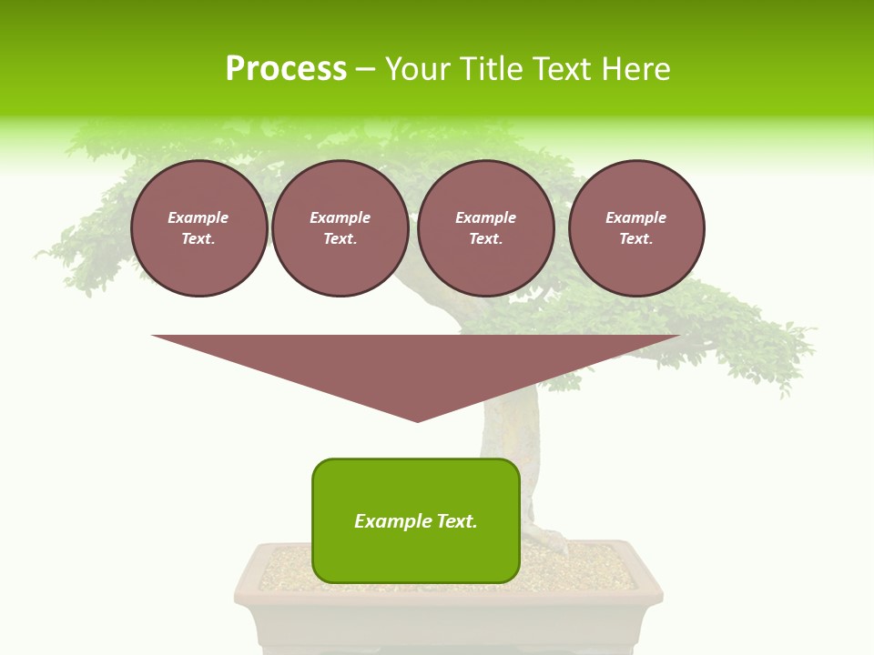 Flower Japan Plant PowerPoint Template