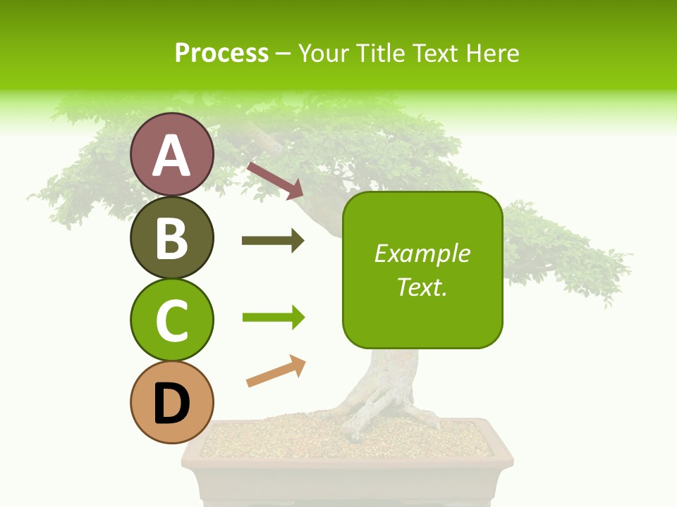 Flower Japan Plant PowerPoint Template