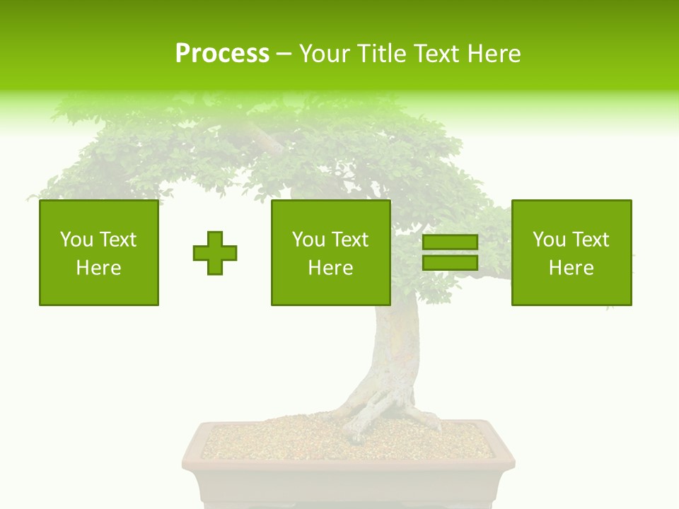 Flower Japan Plant PowerPoint Template