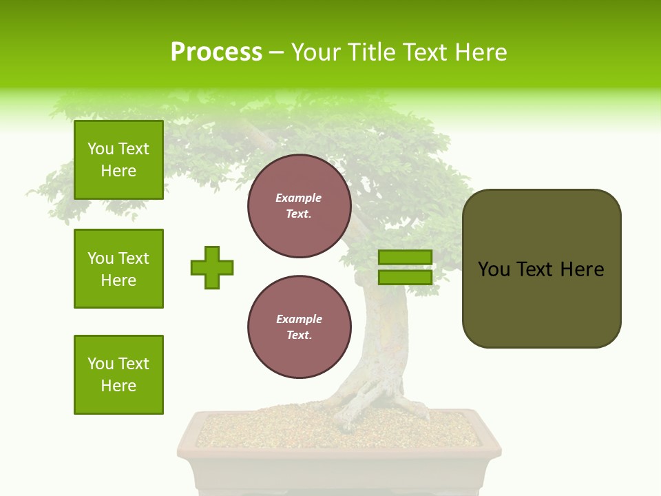 Flower Japan Plant PowerPoint Template