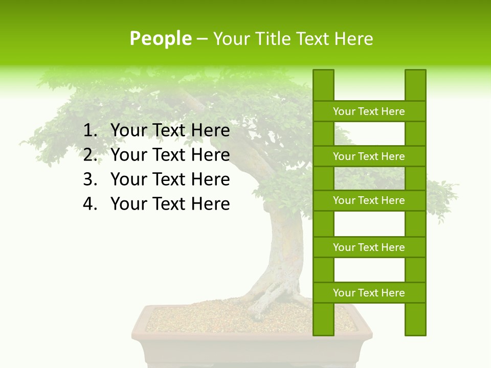 Flower Japan Plant PowerPoint Template